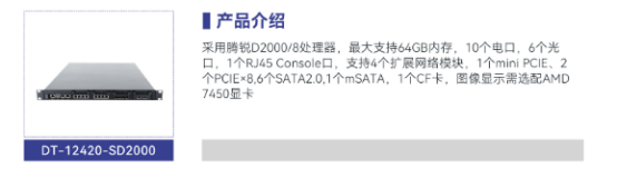 DT-12420-SD2000騰銳D2000/8工控機